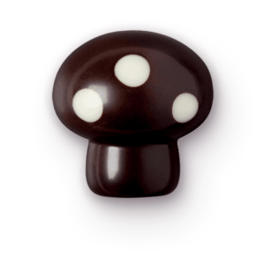 Champignon mousse au chocolat noir