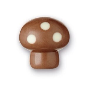 Champignon caramel brésilienne lait